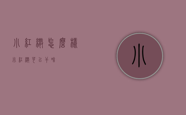 小红伞怎么样（小红伞可以干啥）