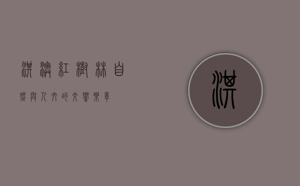 淇澳红树林，自然与人文的交响乐章
