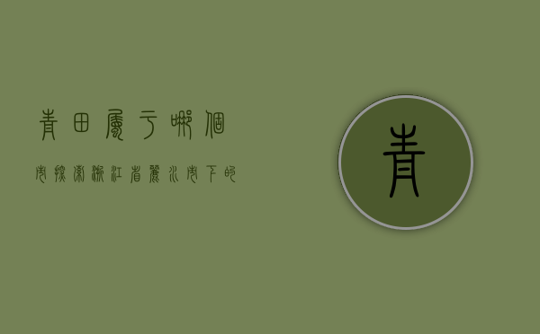 青田属于哪个市？探索浙江省丽水市下的璀璨明珠