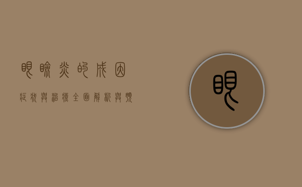 眼睑炎的成因、症状与治疗，全面解析与预防指南