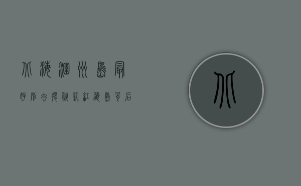 北海涠洲岛最好别去？揭秘网红海岛背后的真实面貌