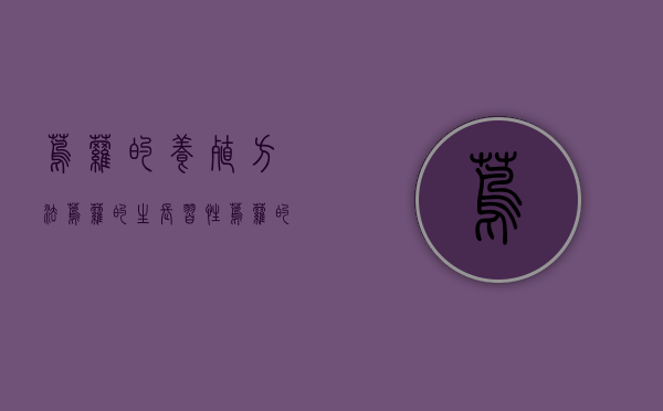 茑萝的养殖方法，茑萝的生长习性（茑萝的主要繁殖方式）