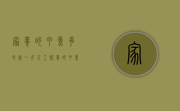 家养的甲鱼多少钱一斤（人工饲养的甲鱼多少钱一斤）