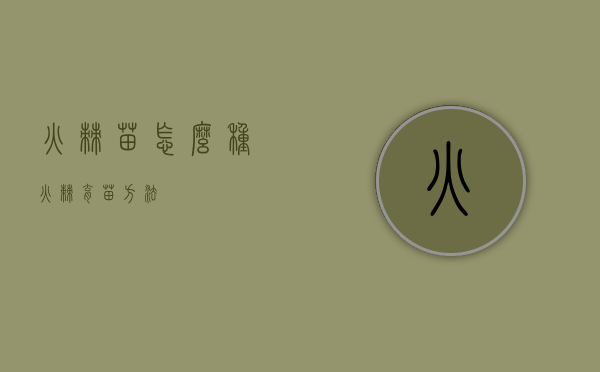 火棘苗怎么种（火棘育苗方法）