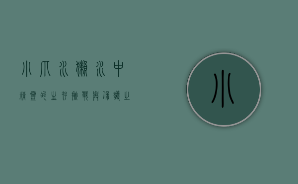 小爪水獭，水中精灵的生存挑战与保护之路