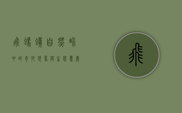 飞蚂蚁，自然界中的奇妙现象与生态意义