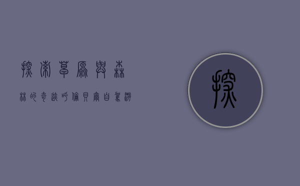 探索草原与森林的奇迹，呼伦贝尔自驾游最佳路线指南