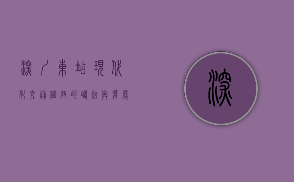 深圳东站，现代化交通枢纽的崛起与发展