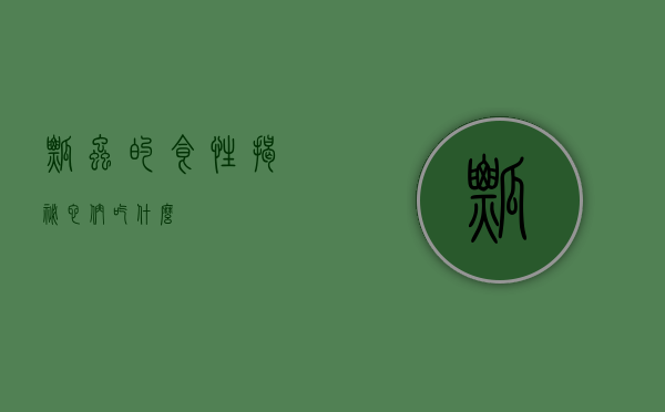 瓢虫的食性揭秘，它们吃什么？