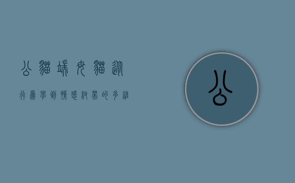 公猫端母猫，从行为学到情感纽带的多维解读