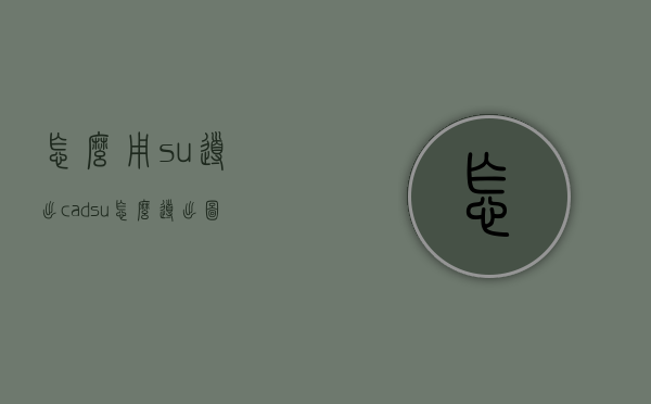 怎么用su导出cad（su怎么导出图）