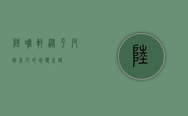 陆唯轩，从平凡到非凡的蜕变之路