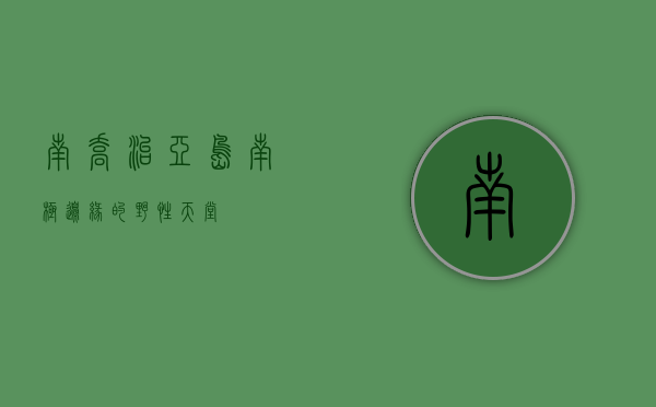 南乔治亚岛，南极边缘的野性天堂