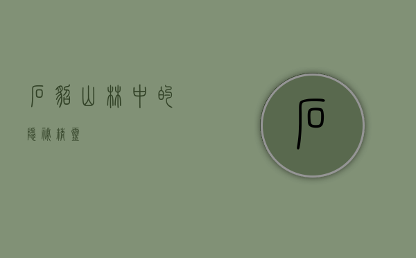 石貂，山林中的隐秘精灵