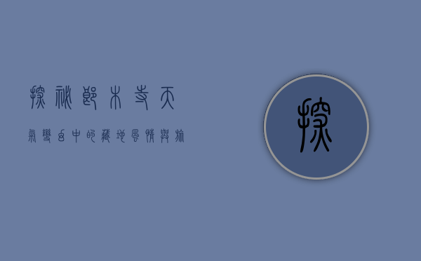 探秘郎木寺，天气变幻中的藏地风情与旅行指南