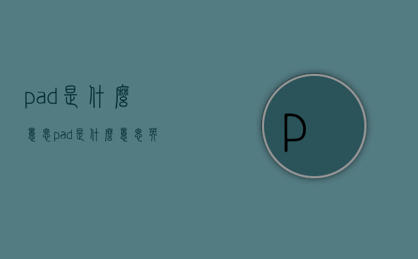 pad是什么意思（pad是什么意思英语）