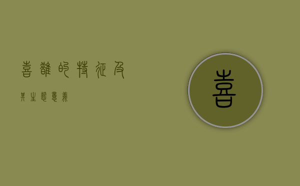 喜鹊的特征及其生态意义