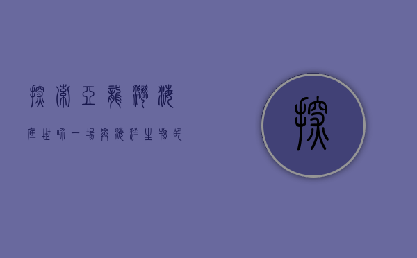 探索亚龙湾海底世界，一场与海洋生物的奇妙邂逅