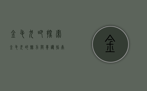 金毛犬吧，探索金毛犬的魅力与养护指南