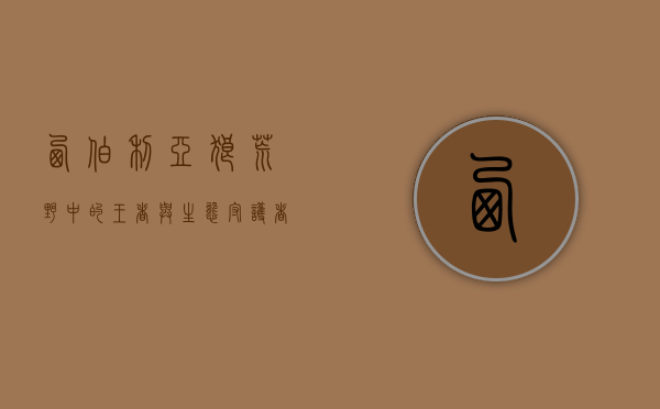 西伯利亚狼，荒野中的王者与生态守护者