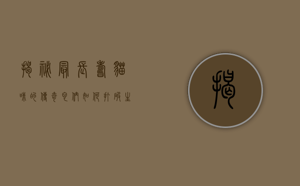 揭秘最长寿猫咪的传奇，它们如何打破生命极限？