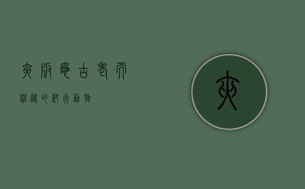 夹板龟，古老而神秘的爬行动物