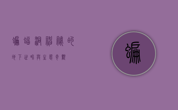 蝙蝠洞，神秘的地下世界与生态奇观