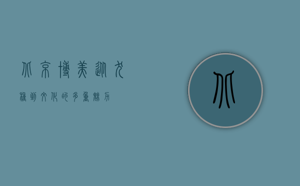 北京博美，从犬种到文化的多重魅力
