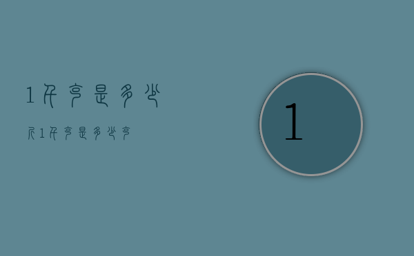 1千克是多少斤（1千克是多少克）
