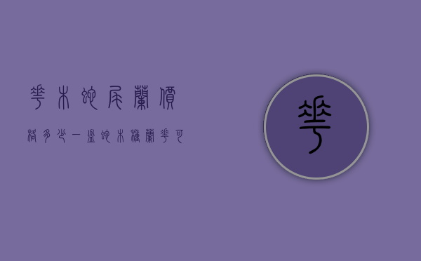 花木蛇尾兰价格多少一盆（蛇木种兰花可以用多久）