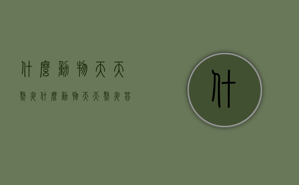 什么动物天天熬夜（什么动物天天熬夜 答案两个字）