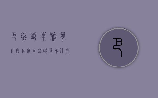 巴黎欧莱雅有什么作用（巴黎欧莱雅什么产品最好用）