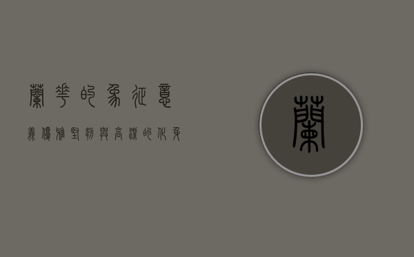 兰花的象征意义，优雅、坚韧与高洁的化身