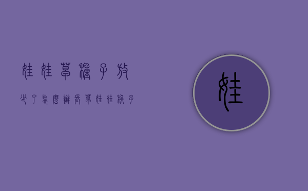 娃娃草种子放少了怎么办（长草娃娃种子怎么种）