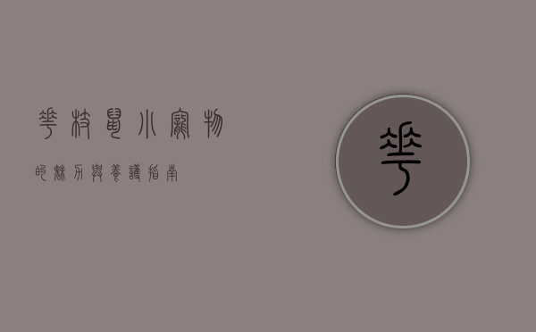 花枝鼠，小宠物的魅力与养护指南