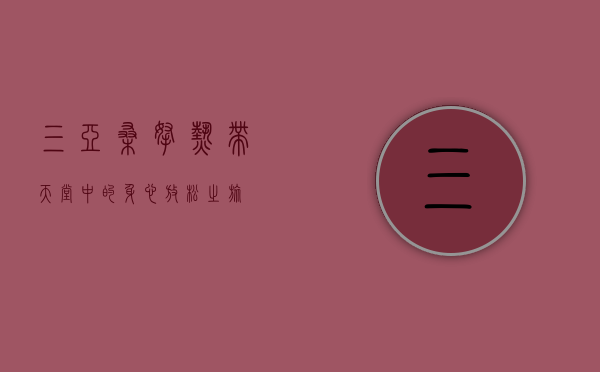 三亚桑拿，热带天堂中的身心放松之旅