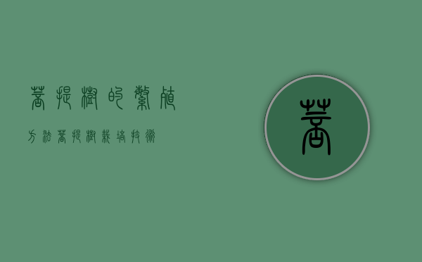菩提树的繁殖方法（菩提树栽培技术）