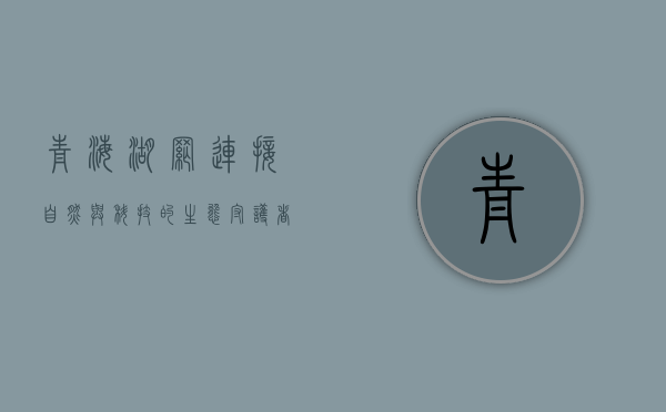 青海湖网，连接自然与科技的生态守护者