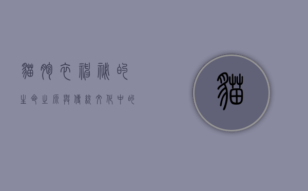 猫胞衣，神秘的生命之源与传统文化中的象征