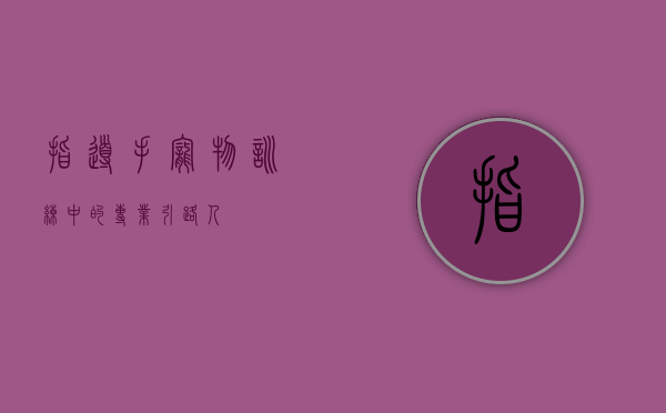 指导手,宠物训练中的专业引路人 指导手,宠物训练中的专业引路人