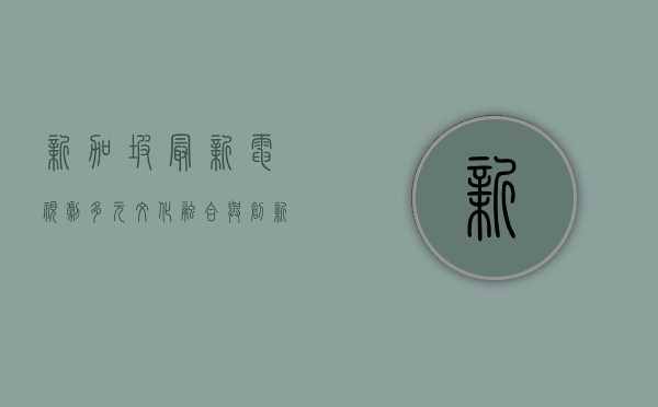 新加坡最新电视剧，多元文化融合与创新叙事的完美呈现