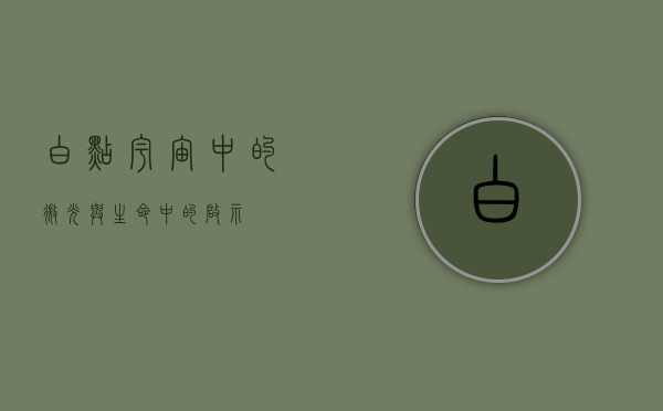 白点，宇宙中的微光与生命中的启示