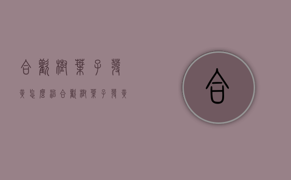 合欢树叶子发黄怎么治（合欢树叶子发黄怎么治疗）