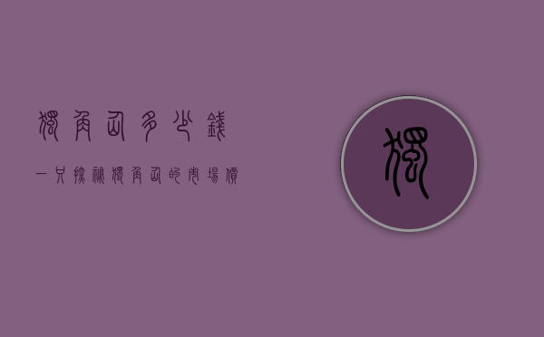 独角仙多少钱一只？探秘独角仙的市场价格与养殖价值