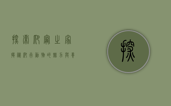 探索爬宠之家，揭秘爬行动物的魅力与养护之道