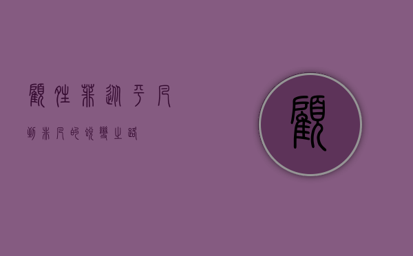 顾晴菲，从平凡到非凡的蜕变之路