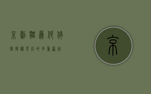 京剧猫为何停播？揭秘背后的多重原因