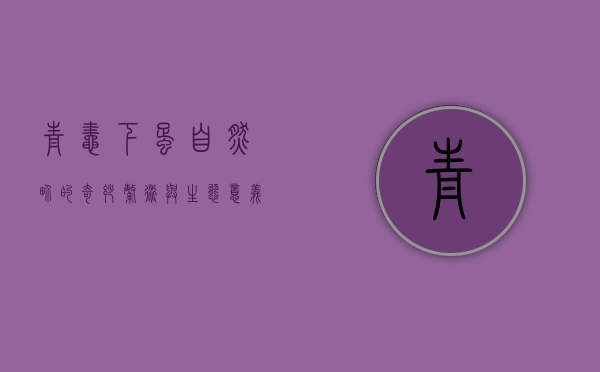 青蛙下蛋，自然界的奇妙繁衍与生态意义