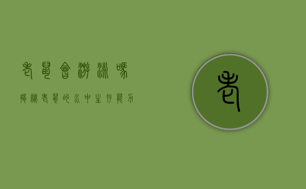 老鼠会游泳吗？揭秘老鼠的水中生存能力