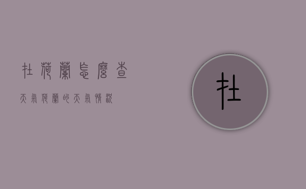 在荷兰怎么查天气（荷兰的天气情况）